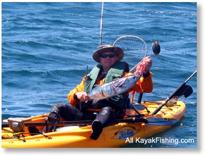 kayak fishing bonito image